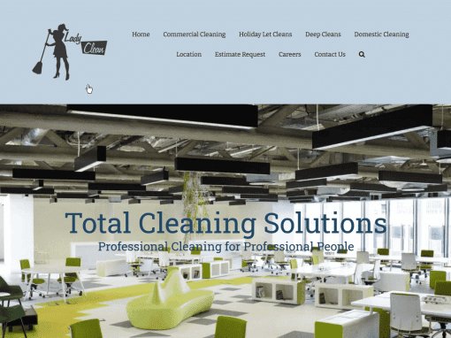 Lady Clean Ltd